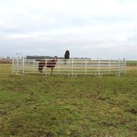 Weidepanel verschiedene Längen Mobilzaun Panel Pferdebox Zaun NEU Rheinland-Pfalz - Hübelhof Vorschau