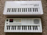 Keyboard Mini 37 Classic Cantabile super! Dresden - Loschwitz Vorschau