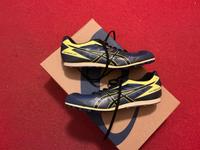 Spikes (Leichtathletik) Asics Hyper LD 5 (Größe 40) Hessen - Wiesbaden Vorschau
