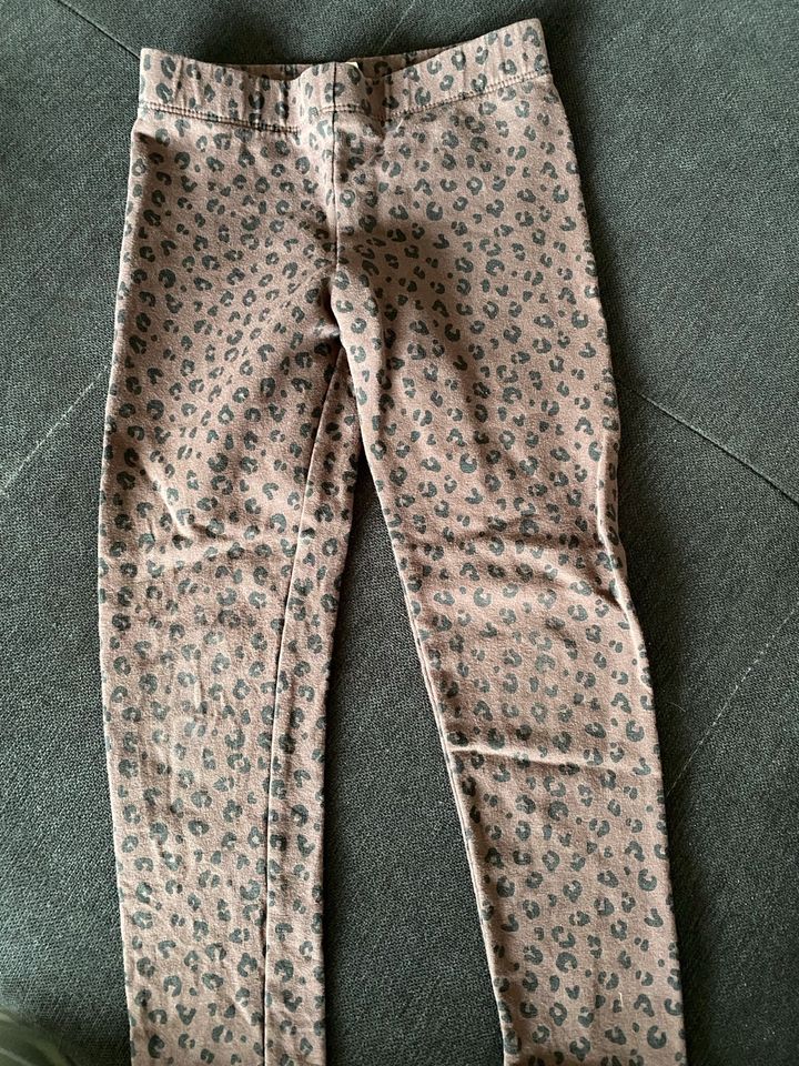 Leggins 116 in Mülheim-Kärlich