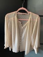 Zara Bluse Hemd Cremefarbe wie Neu Gr S Düsseldorf - Benrath Vorschau