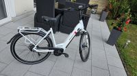 Damen E-Bike Pegasus Solero 8R 400Wh City Dortmund - Bodelschwingh Vorschau
