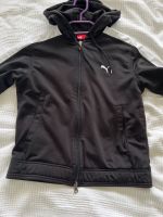 Puma Sportjacke Hessen - Marburg Vorschau