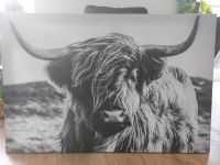 Leinwandbild "Highlandrind" 60x90 Niedersachsen - Marklohe Vorschau