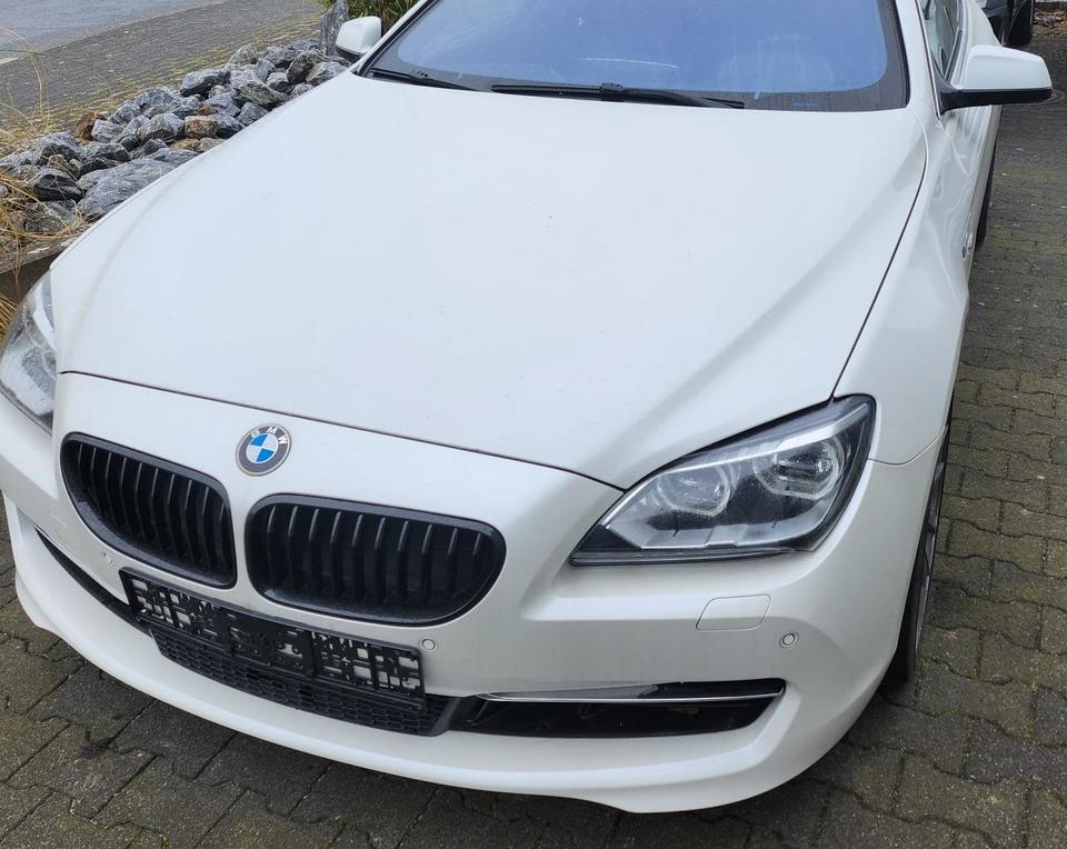BMW 550i 650i X5 X6 N63 N63B44A N63B44B Motorinstandsetzung in Halle (Westfalen)