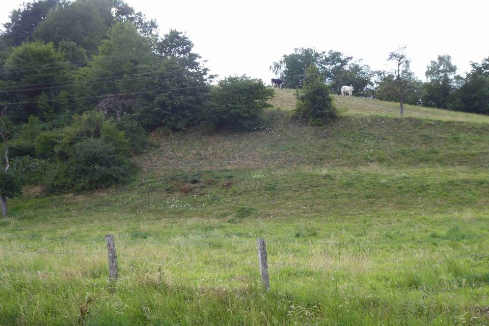 Schönes Grundstück am Ortsrand, gute Anbindung nach Köln und Bonn in Lohmar