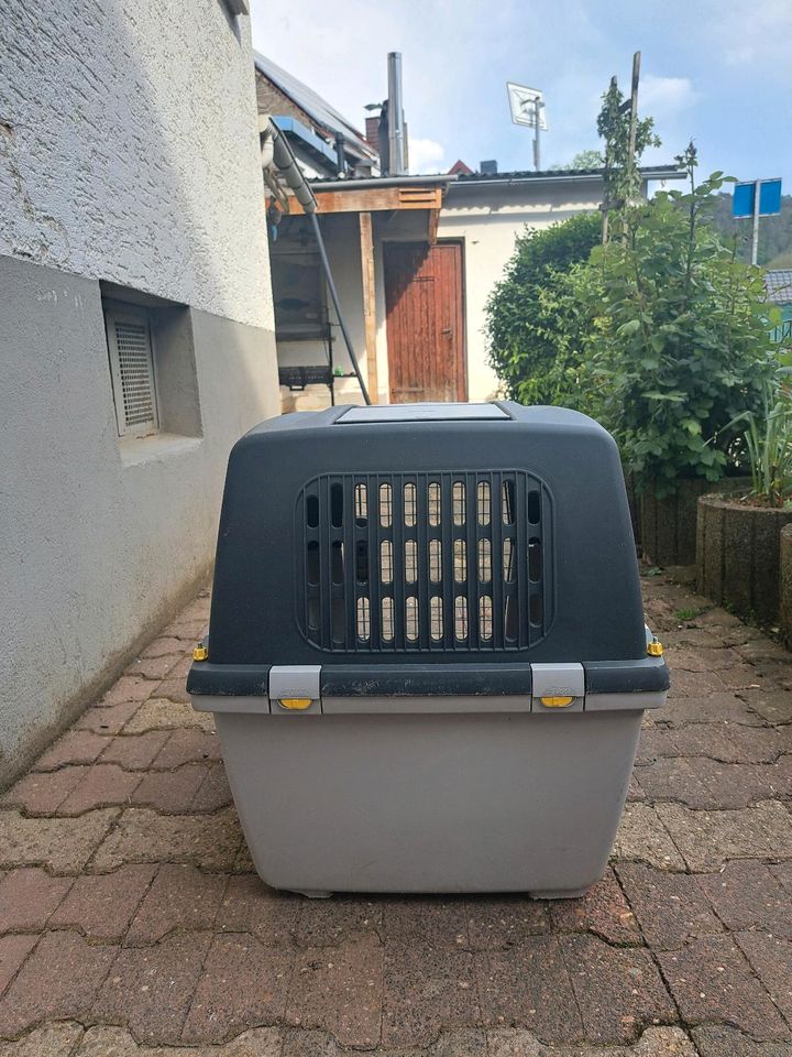 Hundetransportbox von Trixie guliver in Wetzlar