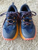 Laufschuhe von asics „Trabuco Max 2“, Größe 38 Hessen - Münster Vorschau