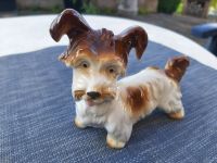 Porzellanfigur Hund Terrier Wagner & Apel alt Baden-Württemberg - Backnang Vorschau