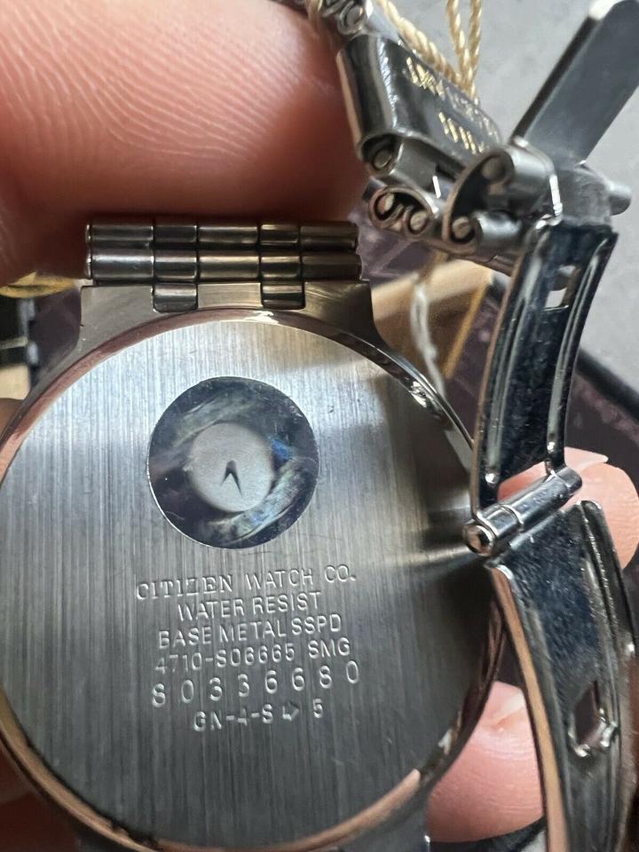 NEU Citizen Bergana Noblia Armbanduhren Gold Titan Silber in Bayern Rothenbach kleinanzeigen