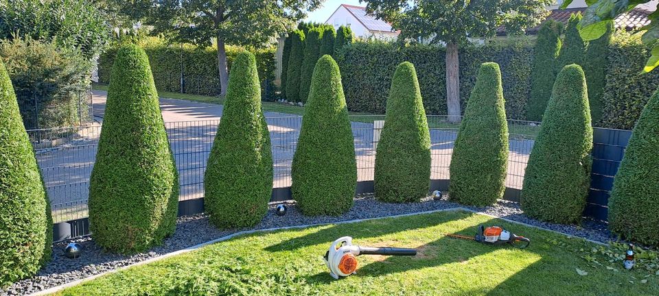 Gartenpflege Gartenarbeiten Sammiller Ingolstadt in Ingolstadt