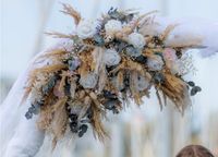 Trockenblumen Hochzeit Schleswig-Holstein - Munkbrarup Vorschau