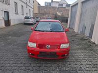 VW Polo 1,4 Diesel Rheinland-Pfalz - Kirchheimbolanden Vorschau