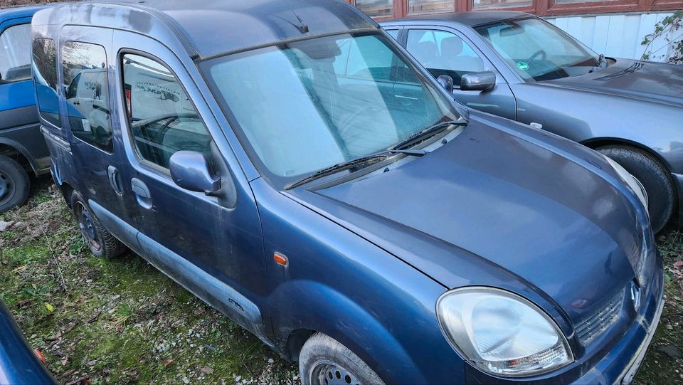 Schlachtfest! Renault Kangoo 1,2 blau 2003 Wasserschaden in Eschweiler