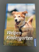 Welpenkindergarten Taschenbuch Nordrhein-Westfalen - Halle (Westfalen) Vorschau