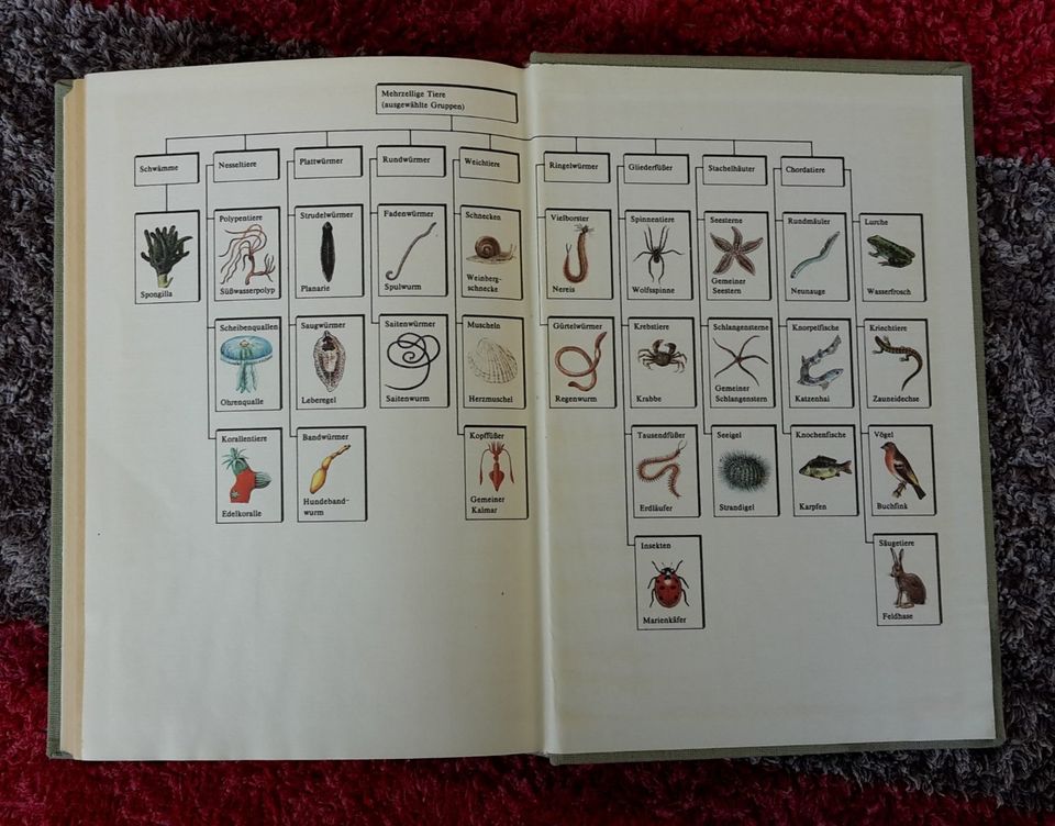 Tiere der Heimat / Bestimmungsbuch für jedermann mit 352 Seiten in Jena