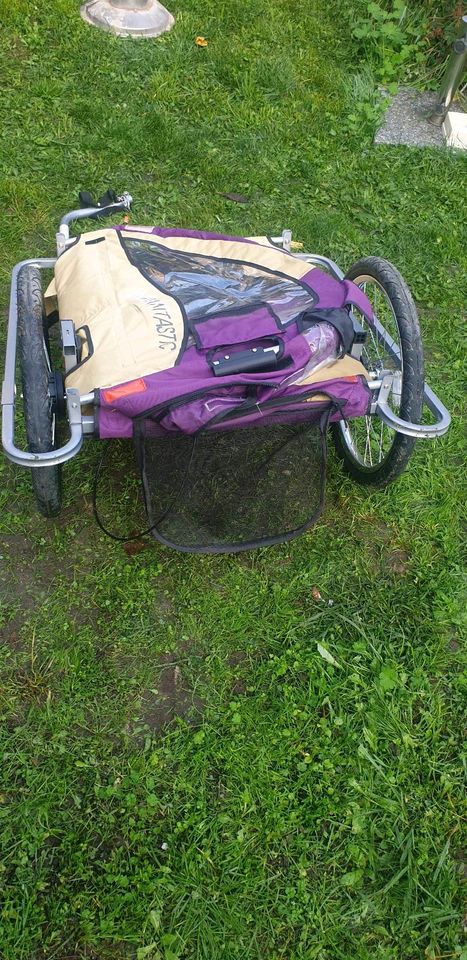 Kinder Fahrrad Anhänger Kinderanhänger in Beucha