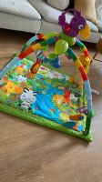 Rainforest Fisher Price Spielbogen Essen-West - Holsterhausen Vorschau