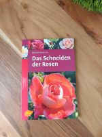 Guide: Das schneiden der Rosen Sachsen - Meißen Vorschau