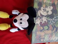 Micky Maus Mickey Mouse  Aufbewahrungsbox groß Nordrhein-Westfalen - Brühl Vorschau