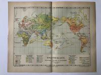 Sprachen Welt Erde weltweit Verbreitung Karte Map alt Farbdruck Hessen - Kassel Vorschau