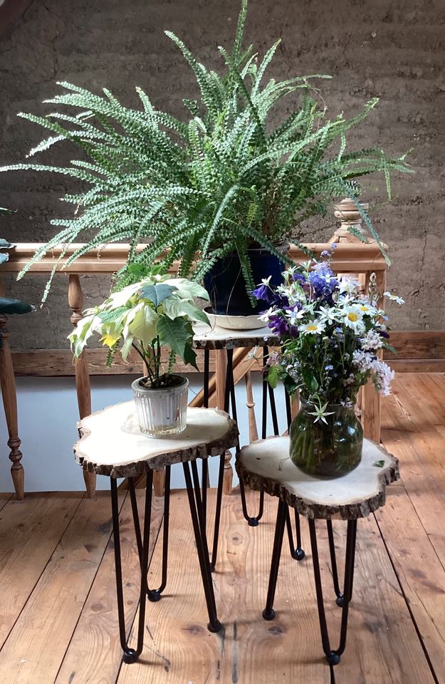 Pflanzenständer, kleiner Tisch aus Baumscheibe in Haslach im Kinzigtal