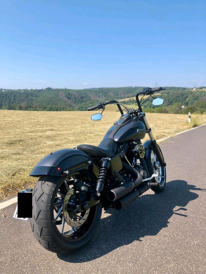 Harley-Davidson in Wissen