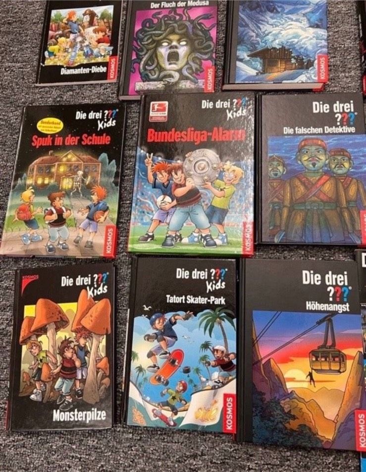 Die drei Fragezeichen Kids, Bücher, Jugendbücher in Reinfeld