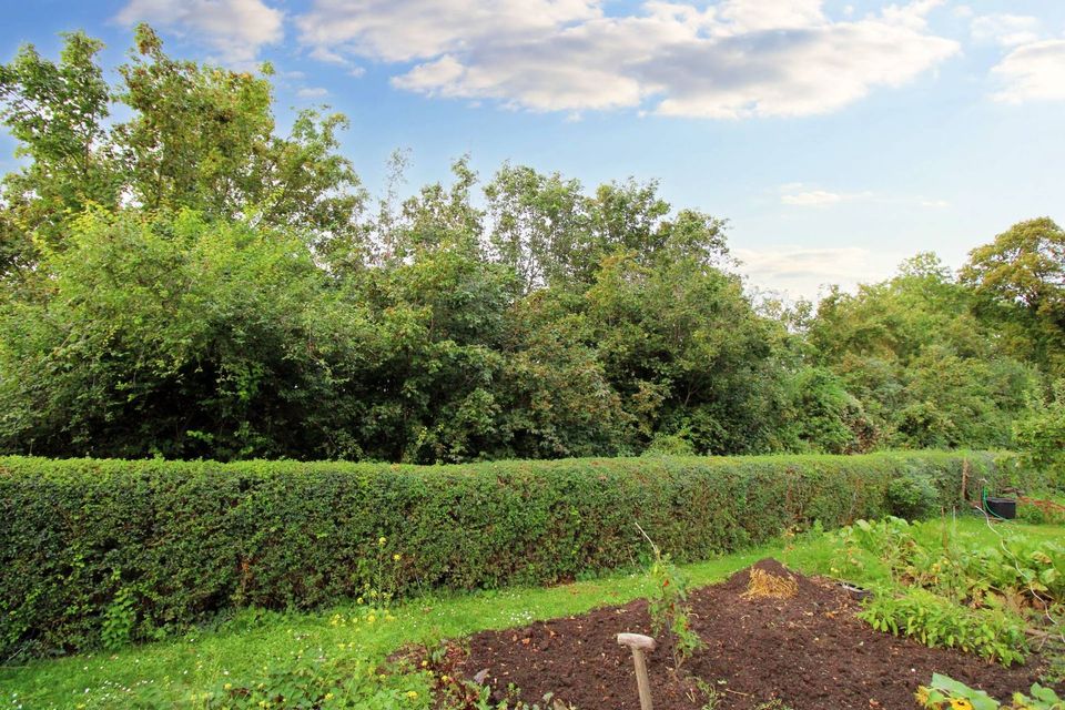 Zeit zur Entspannung: Großes Gartengrundstück in ruhiger Lage von Teutschenthal in Teutschenthal