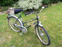 Fahrrad HERCULES vintage 1988 grün 80er CITYBIKE Mountainbike Nordrhein-Westfalen - Krefeld Vorschau