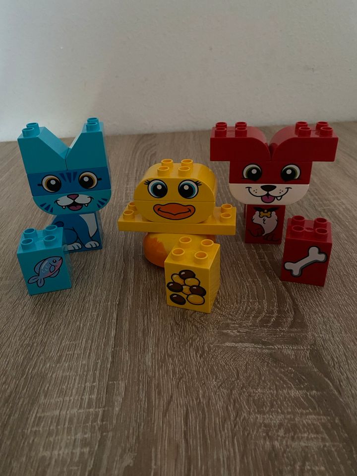 Lego Duplo Tiere in Köln