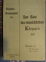 Der Bau des menschlichen Körpers 1909 Niedersachsen - Lemwerder Vorschau