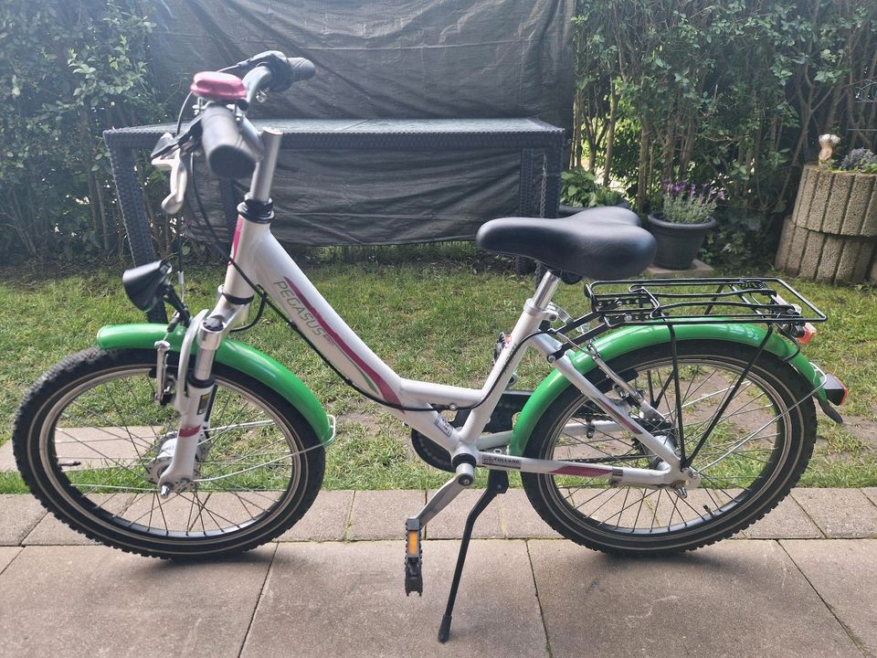 Pegasus Mädchenfahrrad 20 zoll in Essen