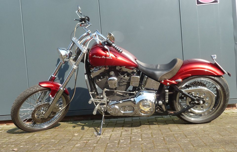 Harley Davidson Softail in Bokel