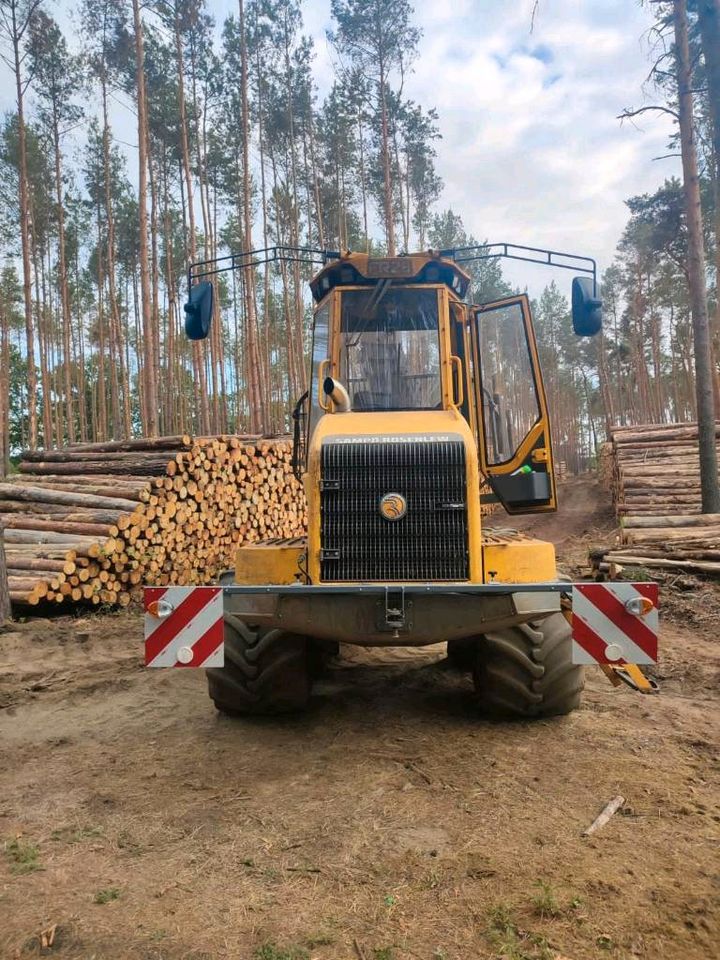 Waldpflege bzw. Durchforstung in Doberlug-Kirchhain