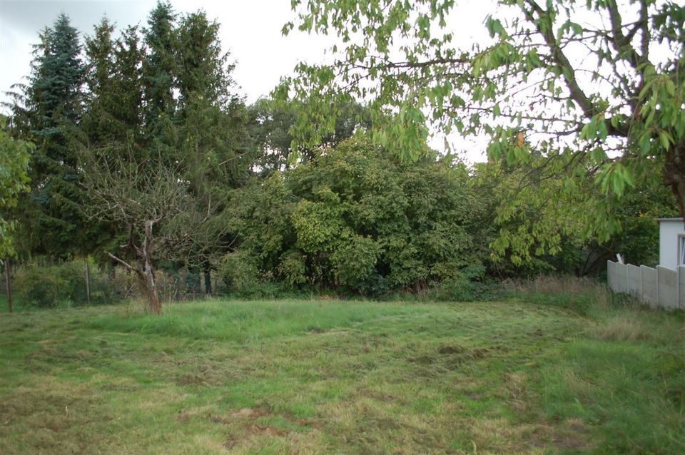 Stadthaus mit Nebengelass und romantischem Garten in Schildau in Schildau