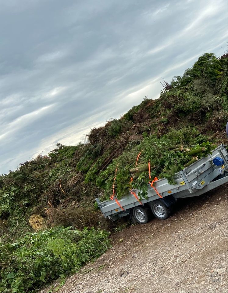 MT Garten-Landschaftspflege,Hausmeisterservice in Binsfeld