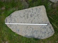 Findlinge / Hinkelsteine aus Basalt Hessen - Neuhof Vorschau