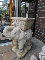 Elefant Pflanzengefäß Steinfigur Skulptur Niedersachsen - Oldenburg Vorschau