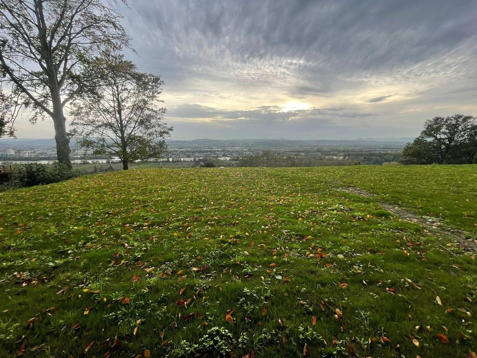 Wohnen mit traumhaften Panoramablick auf das Rheintal und eigenem Garten in Weitersburg