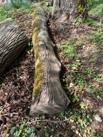 Linde Stamm 2,90m Holz Basteln DIY Weichholz Schnitzen Thüringen - Greiz Vorschau