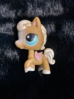 LPS Littlest PET Shop Horse Pony Blue eyes Nordrhein-Westfalen - Hilden Vorschau