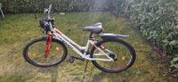 Muss dringend raus! Kinder-Fahrrad Corelli Mountainbike 26 Zoll Bayern - Eitensheim Vorschau