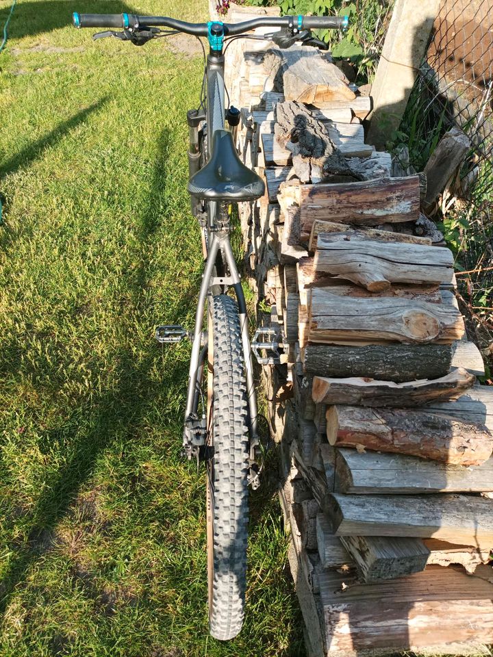 Fahrrad der Marke Focus in Luckau