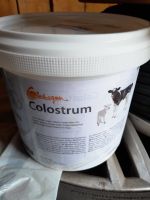 Colostrum pulver Kälber Bayern - Obergünzburg Vorschau