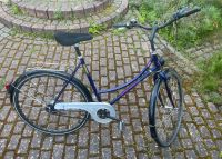 Fahrrad, ADFC geprüft Niedersachsen - Friedland Vorschau