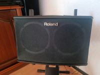 Roland AC 40 Akustikgitarren Verstärker/ Gitarrenamp Bayern - Kahl am Main Vorschau