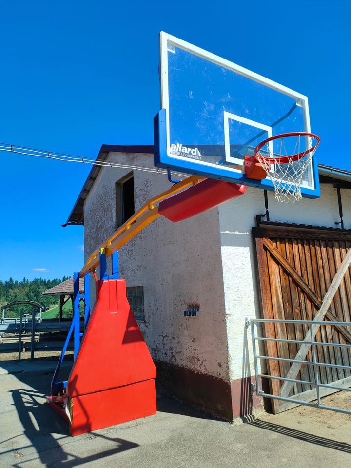 Allard Profi Basketballanlage in Untergriesbach