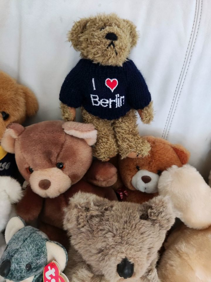 Bären und Bärchen - hygienisch und sauber in Berlin