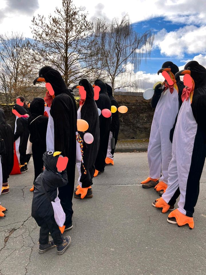 Gruppenkostüme Pinguine Fastnacht/Karneval in Lykershausen